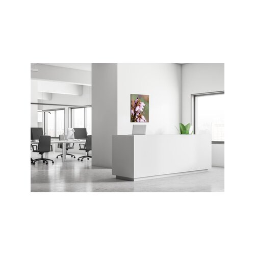 Showdown® Displays Dekobild 84,1 x 59,4 cm (B x H) Pinke Blume Erica