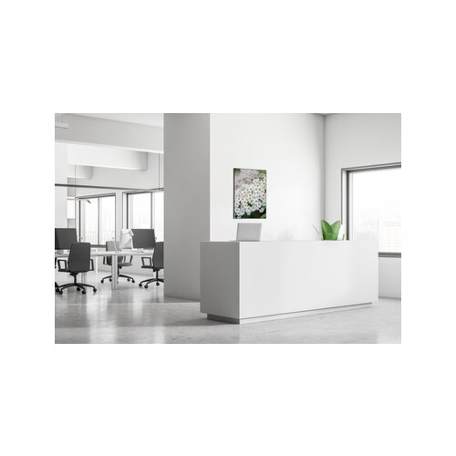 Showdown® Displays Dekobild 84,1 x 59,4 cm (B x H) Weiße Blume Spirea