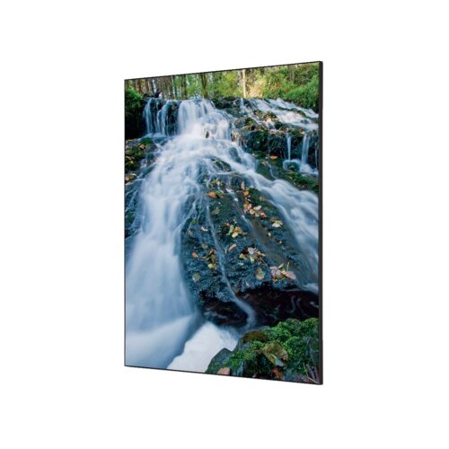 Showdown® Displays Dekobild 84,1 x 59,4 cm (B x H) Wasserfallwald
