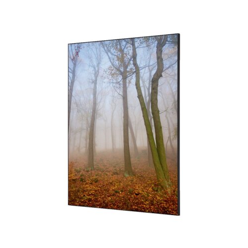 Showdown® Displays Dekobild 84,1 x 59,4 cm (B x H) Herbstnebel