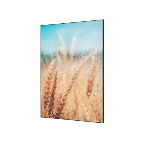 Showdown® Displays Dekobild 84,1 x 59,4 cm (B x H) Getreidefeld