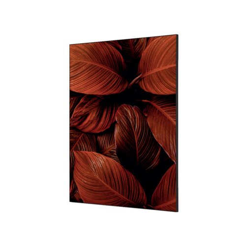 Showdown® Displays Dekobild 84,1 x 59,4 cm (B x H) Botanische Blätter