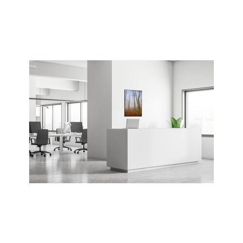 Showdown® Displays Dekobild 84,1 x 59,4 cm (B x H) Herbstnebel