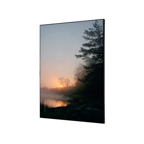 Showdown® Displays Dekobild 42 x 59,4 cm (B x H) Wald Sonnenaufgang