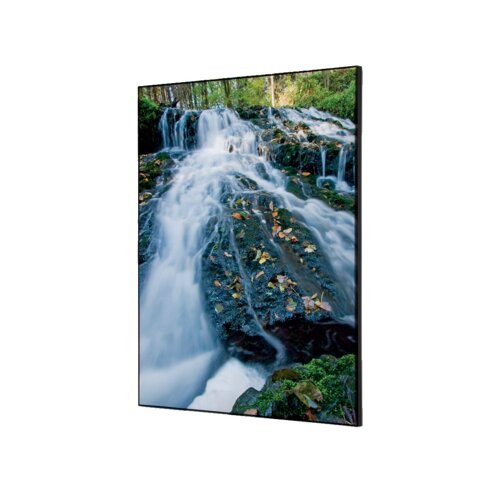 Showdown® Displays Dekobild 42 x 59,4 cm (B x H) Wasserfallwald