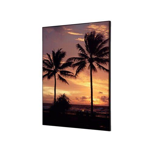 Showdown® Displays Dekobild 42 x 59,4 cm (B x H) Palmen Sonnenuntergang