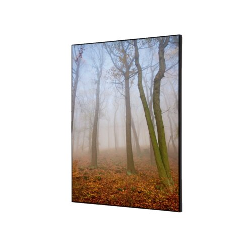 Showdown® Displays Dekobild 42 x 59,4 cm (B x H) Herbstnebel