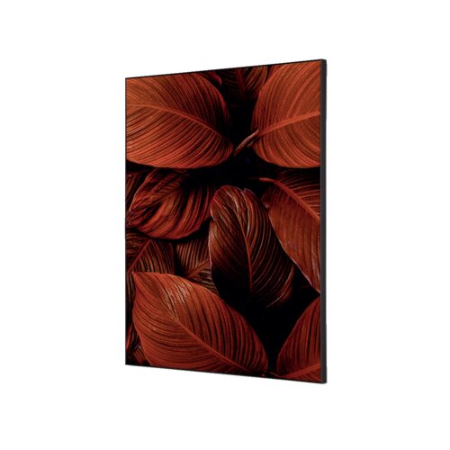 Showdown® Displays Dekobild 42 x 59,4 cm (B x H) Blätter