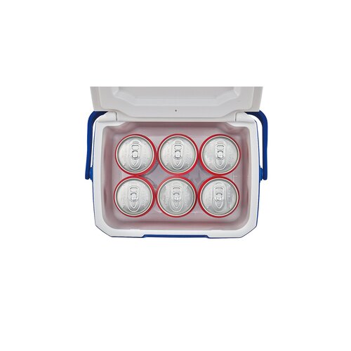 Coleman Kühlbox 5QT Performance