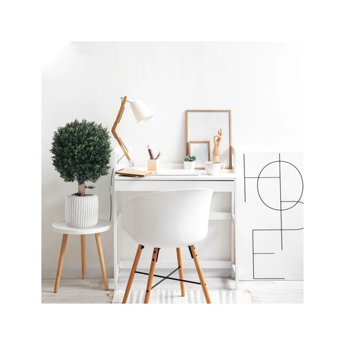hjh OFFICE Zimmerpflanze Buxus