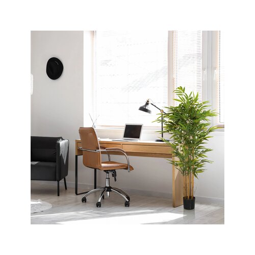 hjh OFFICE Zimmerpflanze Bambus II