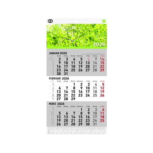 Soennecken Wandkalender oeco 2026