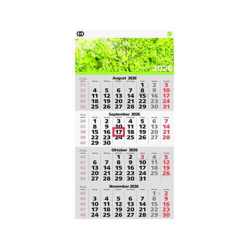 Soennecken Wandkalender oeco 2026