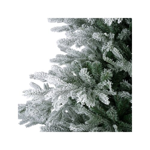 EVERLANDS Weihnachtsbaum Grandis 132 x 180 cm (Ø x H)