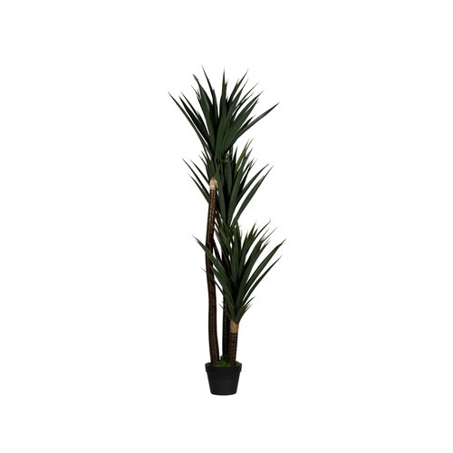 Paperflow Zimmerpflanze meet Yucca 150 cm
