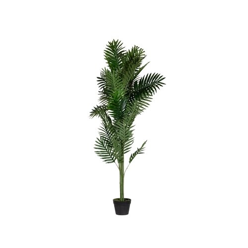 Paperflow Zimmerpflanze meet Palme 160 cm