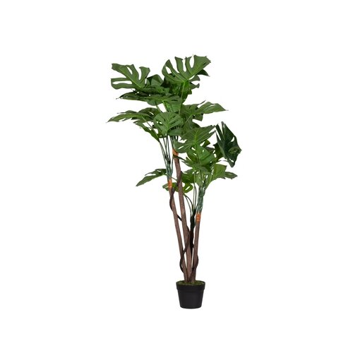 Paperflow Zimmerpflanze meet Monstera 130 cm