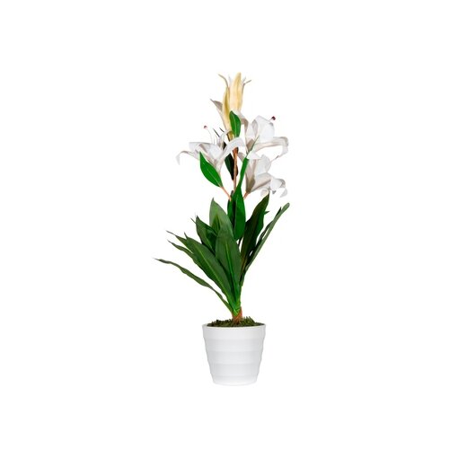 Paperflow Zimmerpflanze meet Lilienblume 65 cm
