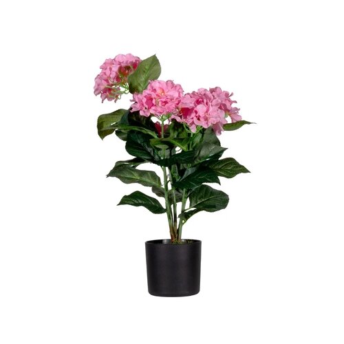Paperflow Zimmerpflanze meet Hortensie 55 cm