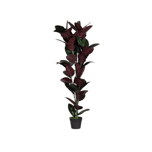 Paperflow Zimmerpflanze meet Gummibaum 120 cm