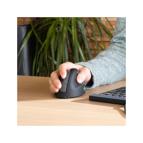 R-Go Tools Optische PC Maus HE Break ergonomisch