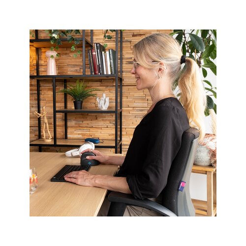 R-Go Tools Optische PC Maus HE Basic ergonomisch