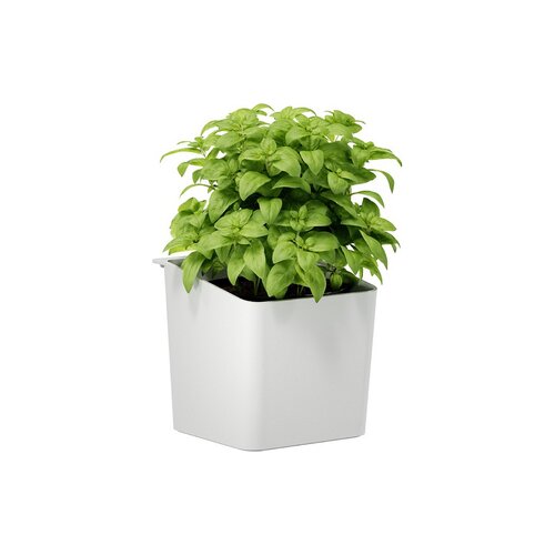 tesa® Kräutertopf KITCHEN