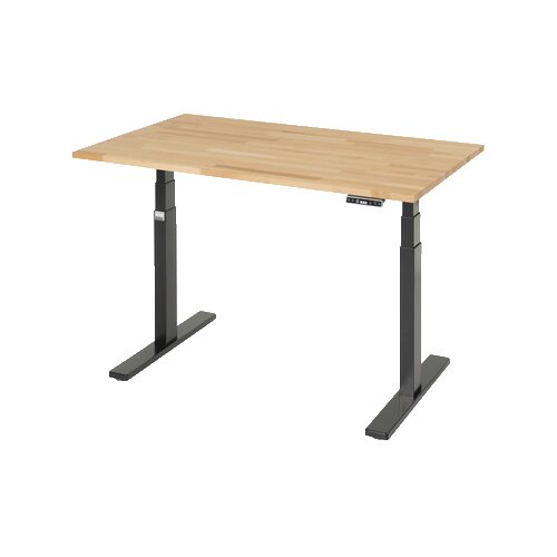 RAU Schreibtisch Adlatus 100 25 cm tiefschwarz