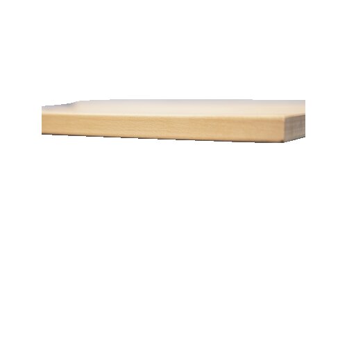 RAU Schreibtisch Adlatus 100 25 cm lichtgrau