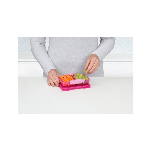 sistema Lunchbox Lunch™ Small Split