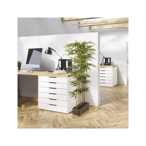hjh OFFICE Zimmerpflanze Bambus I