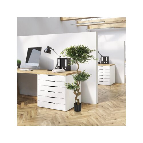 hjh OFFICE Zimmerpflanze Acacia