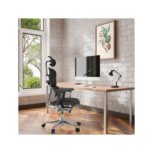 hjh OFFICE Bürodrehstuhl ERGOHUMAN GEN2