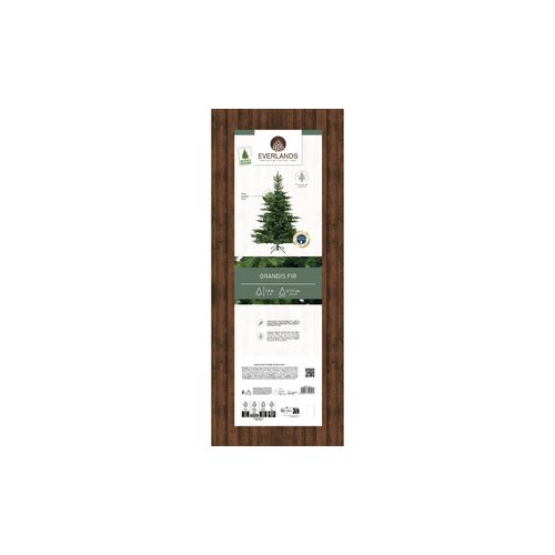 EVERLANDS Weihnachtsbaum Grandis 111 x 150 cm (Ø x H)