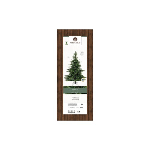 EVERLANDS Weihnachtsbaum Grandis 182 x 300 cm (Ø x H)