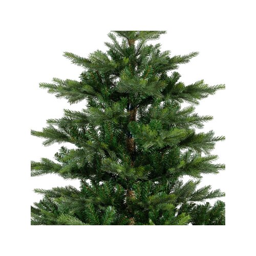 EVERLANDS Weihnachtsbaum Grandis 182 x 300 cm (Ø x H)