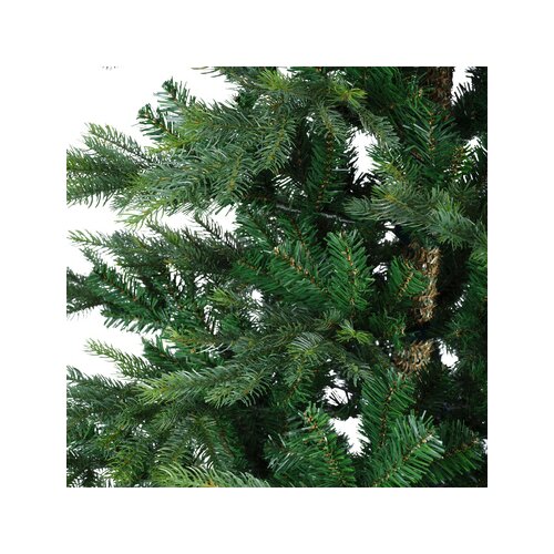 EVERLANDS Weihnachtsbaum Grandis 150 x 210 cm (Ø x H)