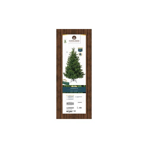 EVERLANDS Weihnachtsbaum Nordmann Tanne 150 x 210 cm (Ø x H)