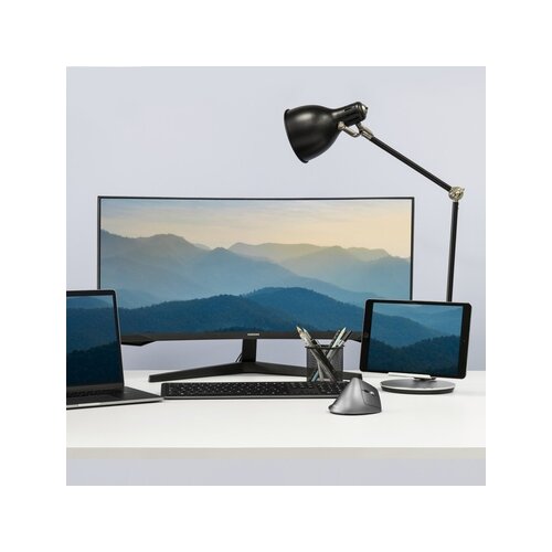 Hama Optische PC Maus EMW-700 ergonomisch