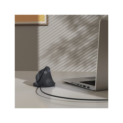 Hama Optische PC Maus ECM-500R ergonomisch