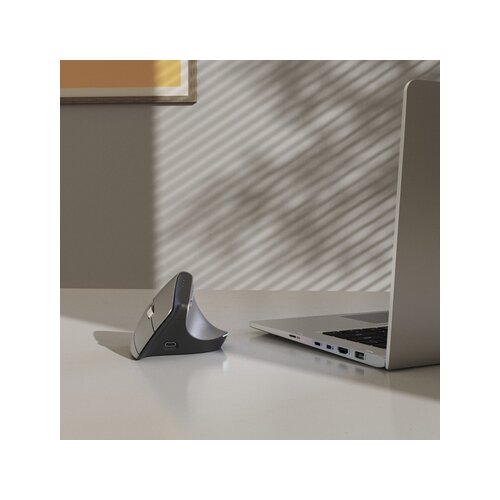 Hama Optische PC Maus EWM-700R ergonomisch