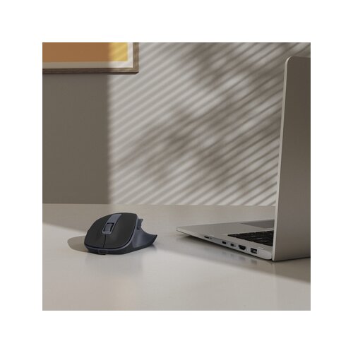 Hama Optische PC Maus WM-500