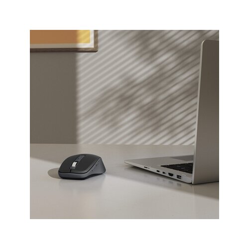 Hama Optische PC Maus WM-450