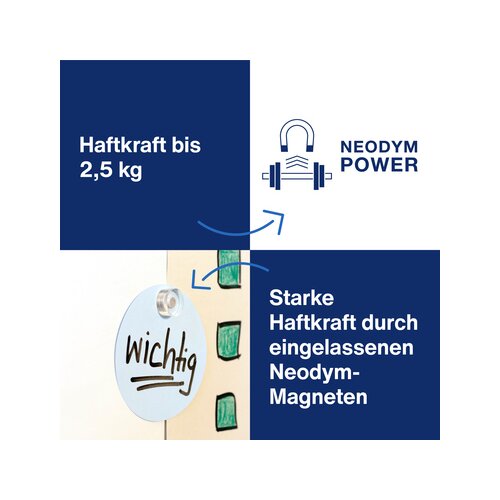 magnetoplan® Magnet Design 25 x 11 mm (Ø x H)