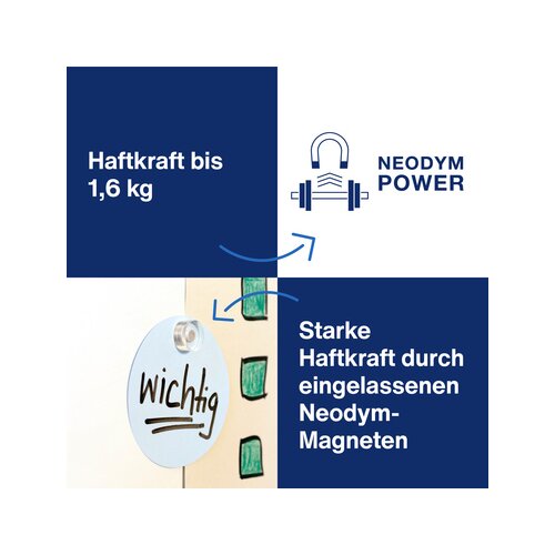 magnetoplan® Magnet Design 20 x 10 mm (Ø x H)