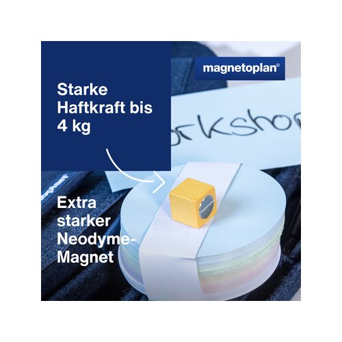 magnetoplan® Magnet Design Wood Series Würfel