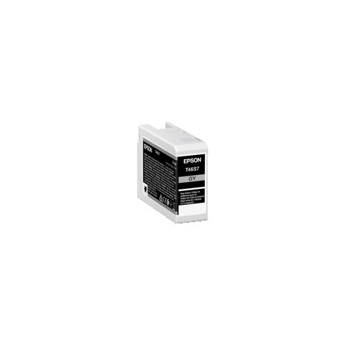 Epson Tintenpatrone T46S7 grau