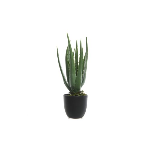 DECORIS Kunstpflanze Aloe Vera