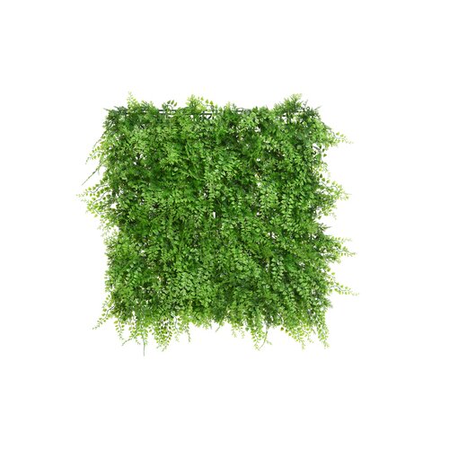 DECORIS Pflanzenbild Farn