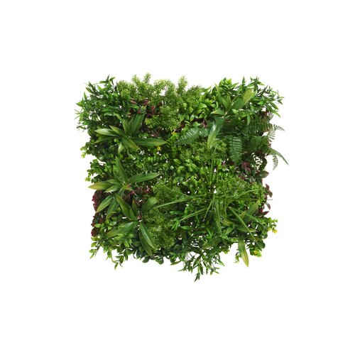 DECORIS Pflanzenbild Zierpflanzen